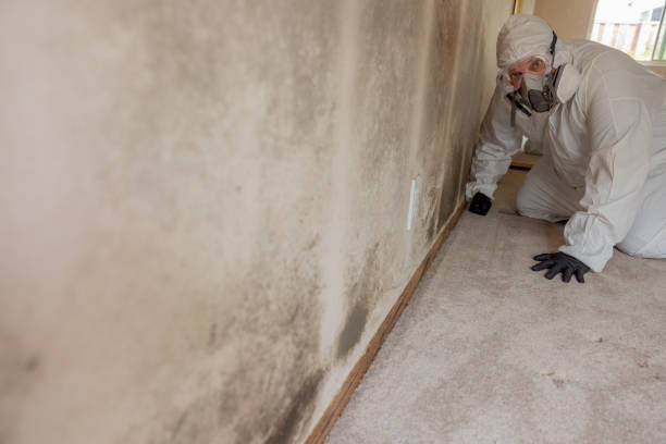 Best Real Estate Mold Inspection  in Wewa, OK