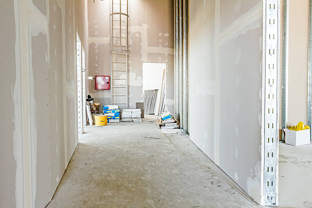 Best Mold-Related Health Consultation  in Wewa, OK